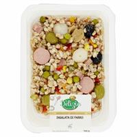 INSALATA DI FARRO GR.250 PAV